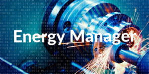 Energiemanager/in