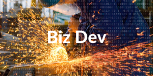 Business Developer