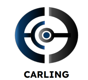 logo Carling Consulting